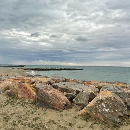 Port Barcares Vue Port Et Mer Le Barcarès Kültér fotó