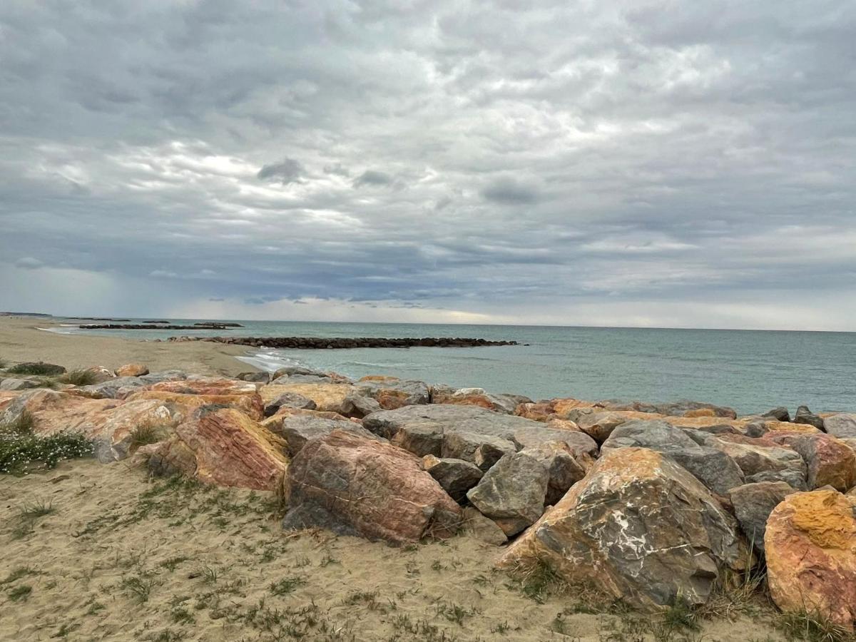 Port Barcares Vue Port Et Mer Le Barcarès Kültér fotó